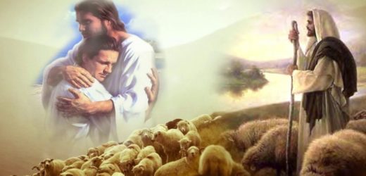 Mỗi Tuần Một Câu Chuyện