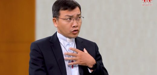 Lm GB Phương Đình Toại, Dòng Camilo, Chia Sẻ Vấn Đề “Xâm Hại Trẻ Em”