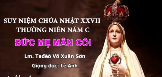 Suy Niệm Chúa Nhật XXVII Thường Niên Năm C – ĐỨC MẸ MÂN CÔI