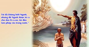 Tôi Đã Thấy: BCYL CN 2 TN Năm A