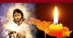 Sự Sáng Thế Gian: BCYL CN 5 TN Năm A