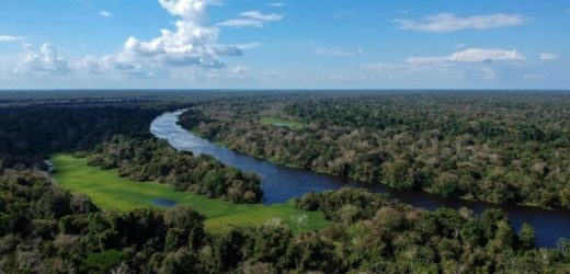 “Những Ước Mơ Lớn” Của Đức Thánh Cha Phanxicô Cho Amazon