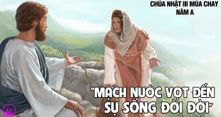 Suối Trường Sinh: BCYL CN 3 Mùa Chay Năm A