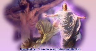 Con Đã Tin Thầy: BCYL CN 5 Mùa Chay Năm A