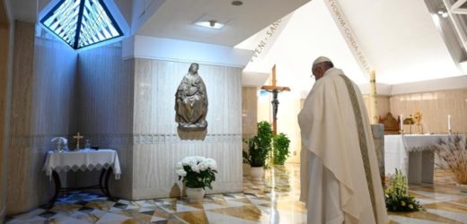 ĐTC Phanxicô (15/4): Lòng Trung Tín Của Thiên Chúa Là Một Lễ Hội, Hoa Hạnh Nhân Nở Vào Mùa Xuân