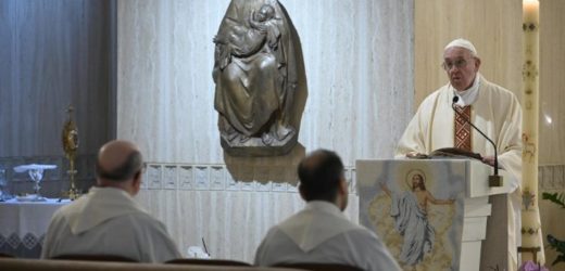 ĐTC Phanxicô (11/5): Chúa Thánh Thần Làm Tăng Trưởng Đức Tin