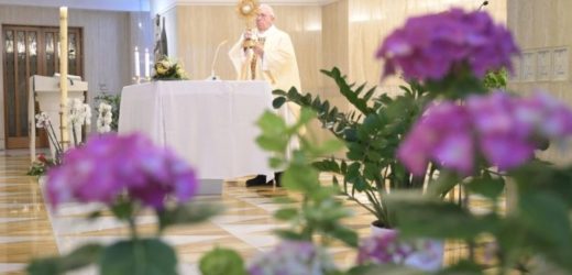 ĐTC Phanxicô (12/5): Bình An Của Chúa Mở Ra Với Người Khác