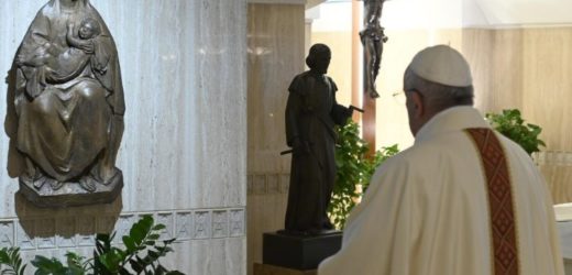 ĐTC Phanxicô (01/5): Lao Động Là Ơn Gọi Đầu Tiên Của Con Người