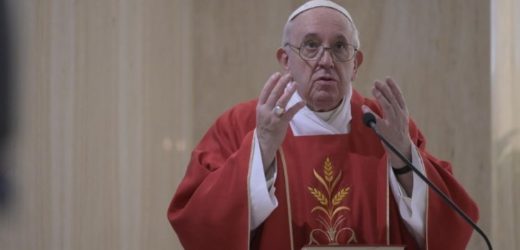 ĐTC Phanxicô (14/5): Hôm Nay Là Ngày Của Tình Huynh Đệ