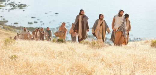 Hãy Đến Chiên Lạc Nhà Israel (08.7.2020 – Thứ Tư Tuần 14 Thường Niên)