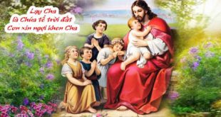 Những Kẻ Bé Mọn: Bài Ca Ý Lực Sống CN 14 TN Năm A