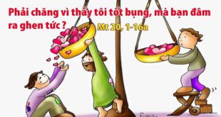 Kẻ Trước Người Sau: Bài Ca Ý Lực Sống CN 25 TN Năm A