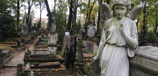 Toà Ân Giải Tối Cao: Sắc Lệnh Về Việc Lãnh Nhận Ơn Toàn Xá Trong Tháng 11/2020