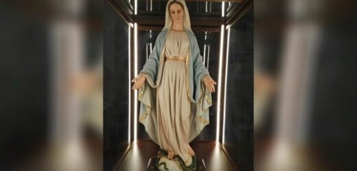 ĐTC Sẽ Làm Phép Ảnh Đức Mẹ Ban Ơn Nhân Dịp Kỷ Niệm 190 Năm Hiện Ra Với Thánh Catarina Labouré