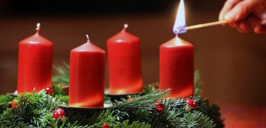 Tòa Thánh Phát Động Chiến Dịch Cầu Nguyện Trong Mùa Vọng Theo Tinh Thần Laudato si’