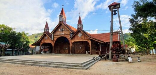 Tình Xuân Trong Đại Dịch