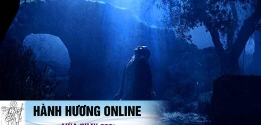 Chuyện Gì Xảy Ra Trong Vườn Cây Dầu?