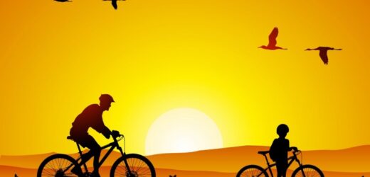 Vai Trò Của Người Cha Trong Việc Giáo Dục Người Trẻ