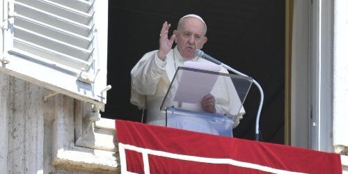 ĐTC Phanxicô: Chúa Giêsu Mục Tử Nhân Lành Yêu Thương Tất Cả Mọi Người