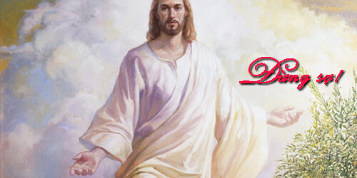 Bài Ca Ý Lực Sống CN 3 Phục Sinh B: Làm Chứng