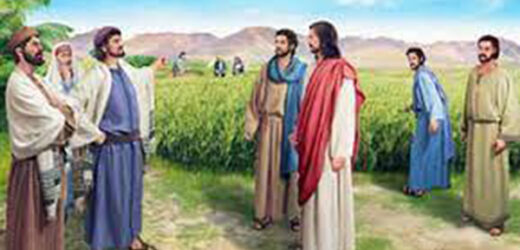 Con Người Cũng Là Chủ Ngày Sabbat (16.7.2021 – Thứ Sáu Tuần 15 Thường Niên)