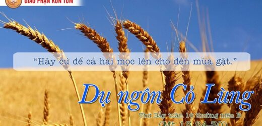 Đừng Nhổ Cỏ Lùng (24.7.2021 – Thứ Bảy Tuần 16 Thường Niên)