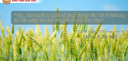 Chói Lọi Như Mặt Trời (27.7.2021 – Thứ Ba Tuần 17 Thường Niên)