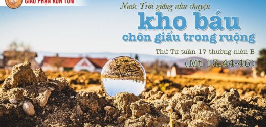 Vui Mừng Bán Tất Cả (28.7.2021 – Thứ Tư Tuần 17 Thường Niên)