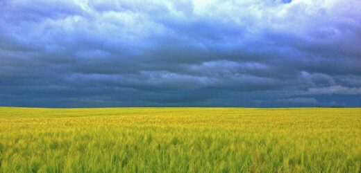 Một Định Nghĩa Cho Sứ Vụ Truyền Giáo