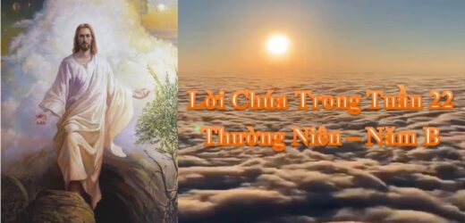 Lời Chúa Trong Tuần 22 Thường Niên – Năm B