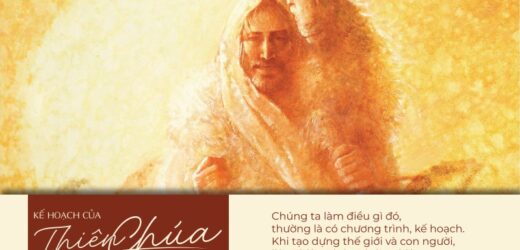 Kế Hoạch Của Thiên Chúa Trong Đời Ta