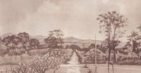 “Rừng Xanh Lưu Lạc” Tiểu Thuyết Đầu Tiên Trên Tây Nguyên