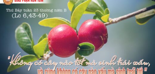 11/9/2021 – Thứ Bảy – Tuần XXIII Thường Niên