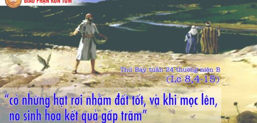 18/9/2021 – Thứ Bảy Tuần XXIV Thường Niên