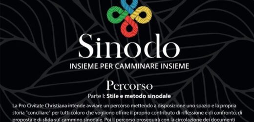 Hướng Đến Tiến Trình Hiệp Hành Đức Thánh Cha Đề Xướng