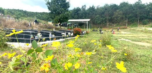 Nơi An Nghỉ Của Các Linh Mục Và Tu Sĩ Giáo Phận Kon Tum