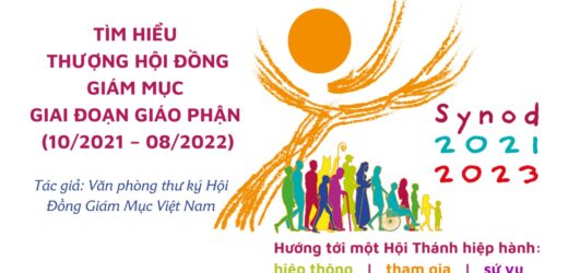 Tìm Hiểu Thượng Hội Đồng Giám Mục Giai Đoạn Giáo Phận (10/2021 – 08/2022)