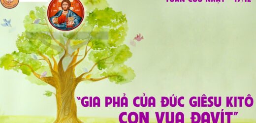 17.12.2021 – Thứ Sáu Tuần III Mùa Vọng