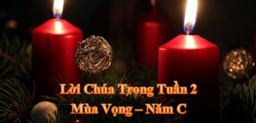 Lời Chúa Trong Tuần II Mùa Vọng – Năm C
