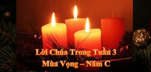 Lời Chúa Trong Tuần III Mùa Vọng – Năm C