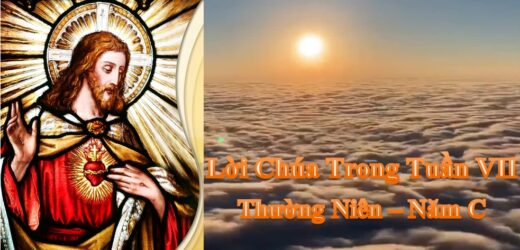 Lời Chúa Trong Tuần VII Thường Niên – Năm C