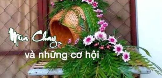 Mùa Chay Và Những Cơ Hội
