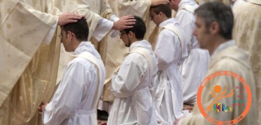 Tinh Thần Hiệp Hành Nơi Sứ Vụ Linh Mục