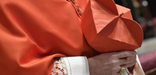 Đức Thánh Cha Công Bố 21 Tân Hồng Y