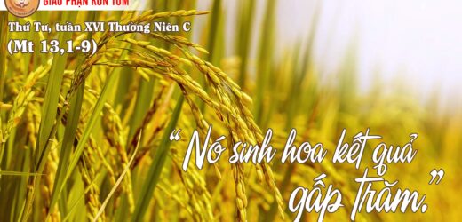 20/07/2022 – Thứ Tư XVI Thường Niên. Thánh Apôlinarê