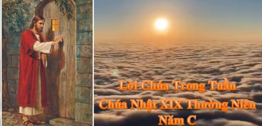 Lời Chúa Trong Tuần XIX Thường Niên – Năm C