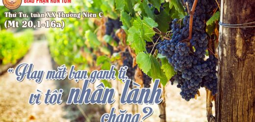 17.8.2022 – Thứ Tư XX Thường Niên