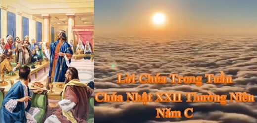 Lời Chúa Trong Tuần XXII Thường Niên – Năm C