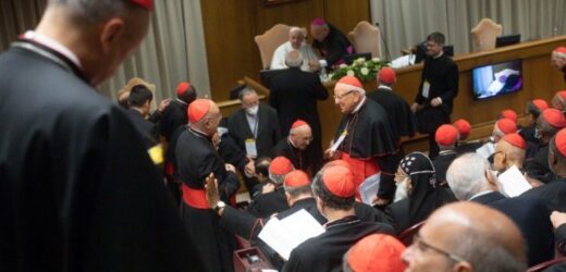 Hồng Y Đoàn Và Đức Thánh Cha Suy Tư Và Thảo Luận Về Cải Tổ Giáo Triều