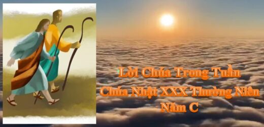 Lời Chúa Trong Tuần XXX Thường Niên – Năm C
